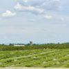 Orr's Farm Market in Martinsburg, WV