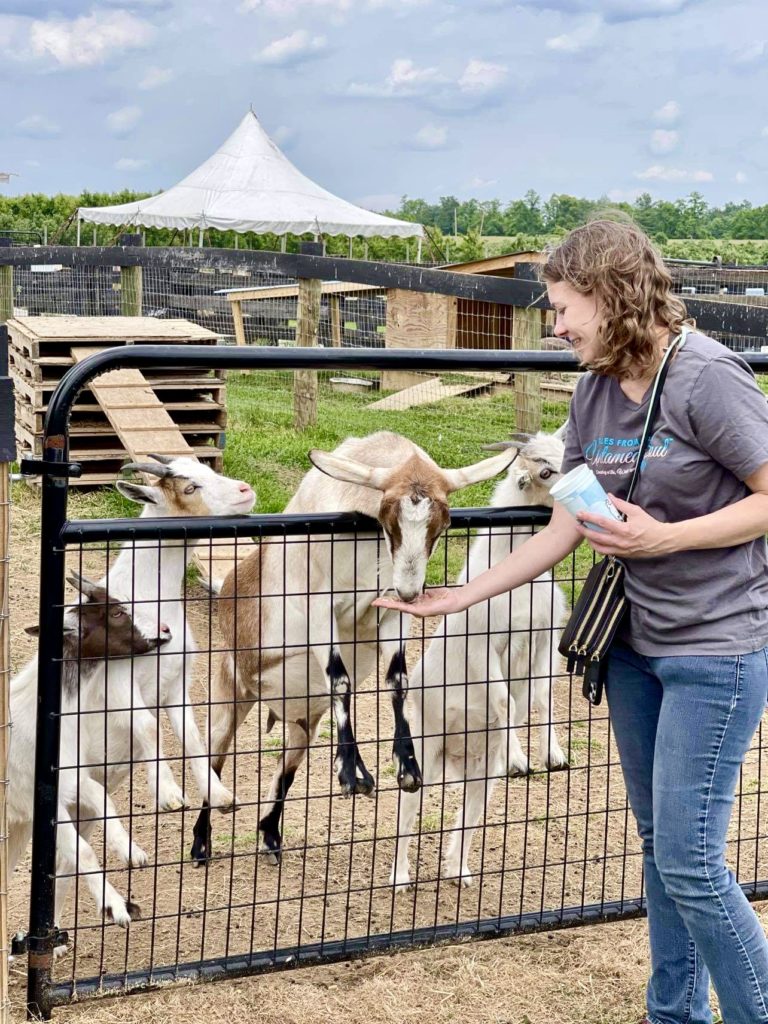 Orr's Farm Market, Martinsburg WV Travel Guide