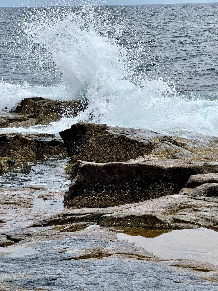 Schoodic Peninsula